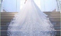 西安婚纱爆料新闻,消费者维权引发关注