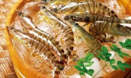 臭鱼烂虾爆料怎么做的视频,家常美味轻松学